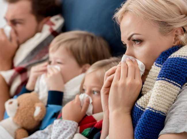 Grip ya da tıbbi ismiyle influenza her yıl dünyada yaklaşık 3-5 milyon kişiyi etkileyen bir hastalık. Yılda 250-500.000 kişinin ölümüne neden olan grip virüsü damlacık yoluyla bulaşıyor.