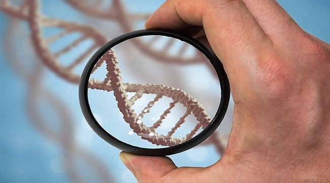 DNA tamiri ile sağlıklı yaşlanmak mümkün!
