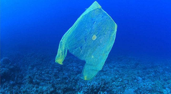Türkiye'de günde 144 ton plastik atık denize karışıyor!