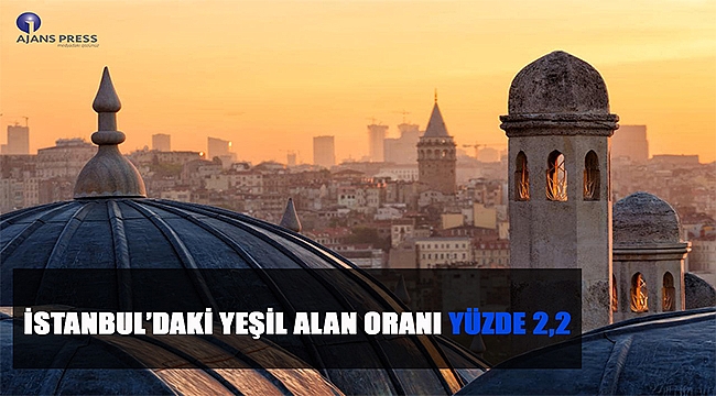 İstanbul'daki Yeşil Alan Oranı Yüzde 2,2