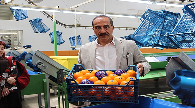 Tarım ürünleri ihracatına Tarım OSB dopingi