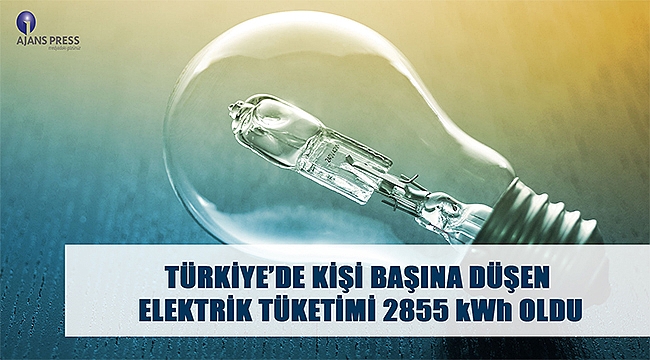 Türkiye'de kişi başına düşen elektrik tüketimi 2855 kwh oldu