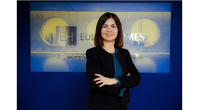 Euler Hermes: Avrupa'da stok artışı Türk şirketlerine yeni pazar fırsatı