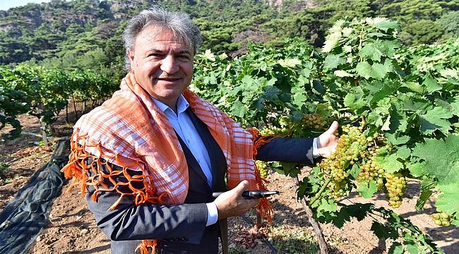 Bornova'da doğal tarım dönemi