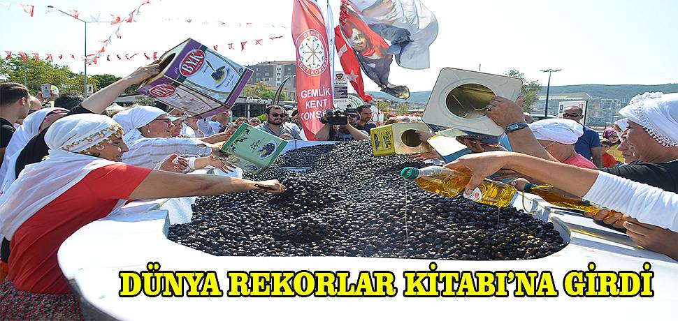 Dev zeytin tabaÄÄ± rekorlar kitabÄ±na girdi 