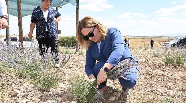 Vali Kocabıyık, tüm üreticileri Ege Tarım ve Hayvancılık Fuarı'na davet etti