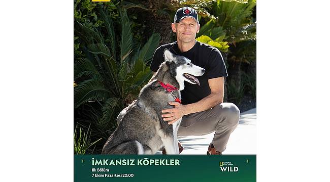 "İmkansız Köpekler" National Geographic WILD'da