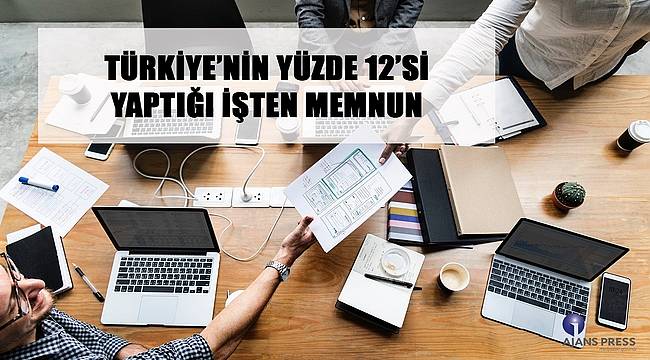 Türkiye'nin yüzde 12'si yaptığı işten memnun