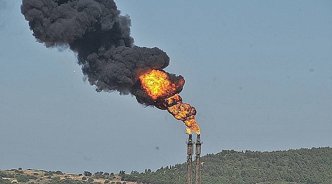 Kirli hava bağışıklık sisteminin zayıflamasına neden olabilir 