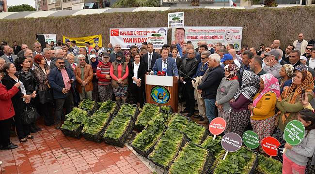 Menemen Belediyesi'nden ıspanak üreticisine destek