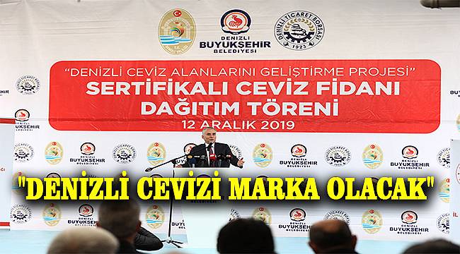 Cevizin başkenti Denizli olacak