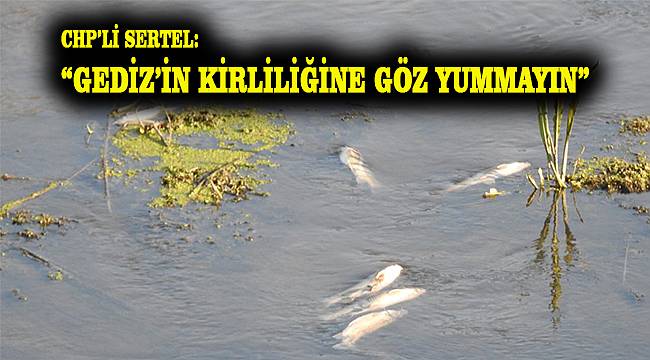 Gediz Nehri'ndeki "balık ölümleri" yeniden TBMM gündeminde