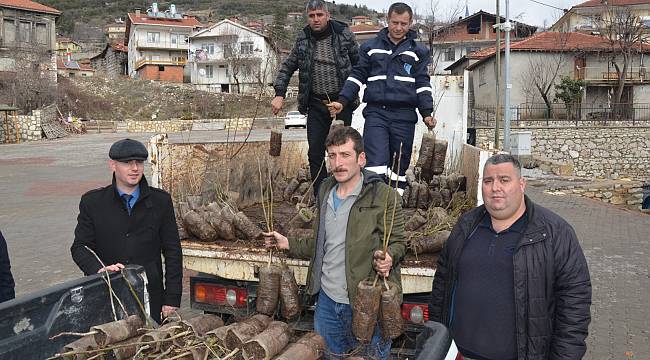 Büyükşehir'den İbradı'da çiftçilere fide desteği