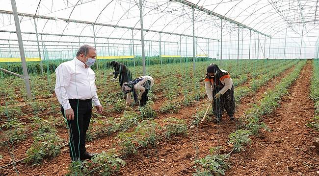 Başkan Böcek Serik'te üreticileri ziyaret etti