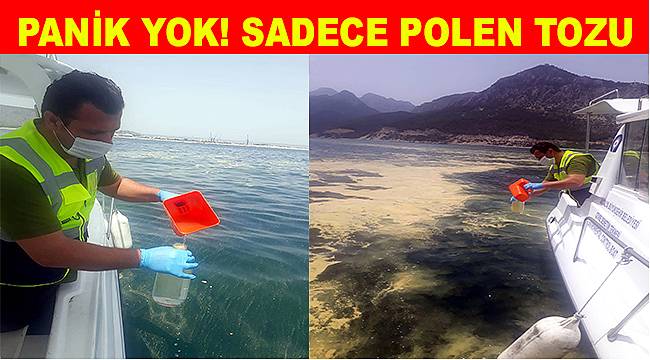 Antalya'da deniz sarıya boyandı, Büyükşehir açıkladı: Gemi atığı değil polen kümesi