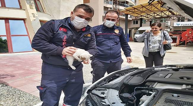 Araç motoruna sıkışan kedi kurtarıldı