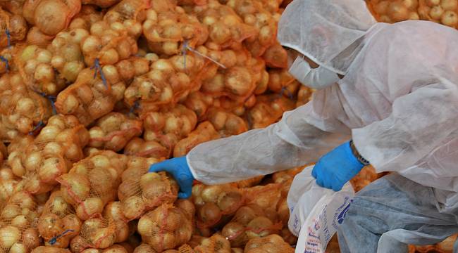 İBB, bu kez de Adanalı üreticiden patates ve soğan satın aldı