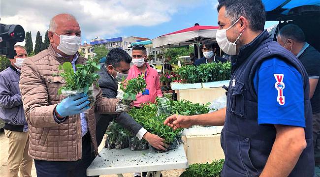 Kemalpaşa Belediyesi'nden vatandaşa 30 bin fide desteği