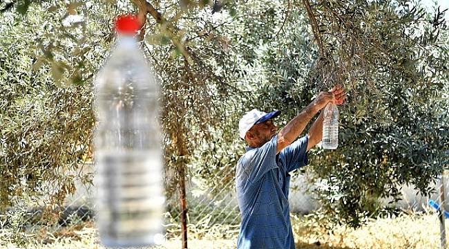 Tire'de Zeytin Sineğine Karşı Toplu Mücadele Protokolü İmzalandı