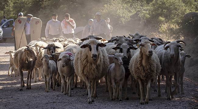 Tunç Soyer: Mera varsa hayat vardır