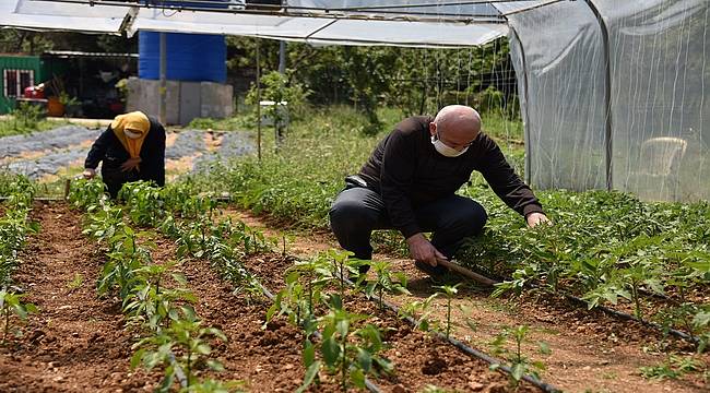 65 yaş üstü Tuzlalılardan, ihtiyaç sahiplerine organik sebze meyve şöleni