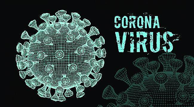 ABD'de Bir Günde 45 bin 242 Yeni Corona Virüsü Salgını Vakası 