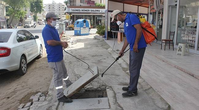 Antalya'da sinekle mücadele