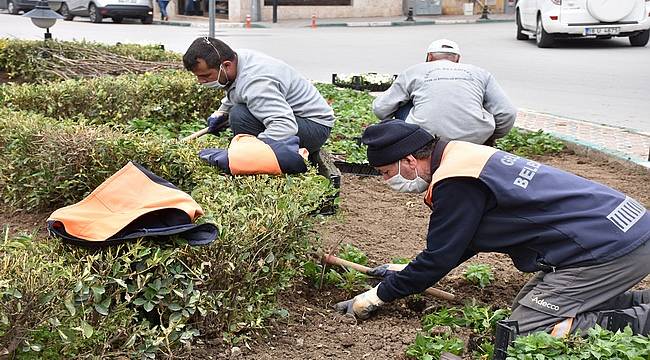 Binlerce mevsimlik çiçek toprakla buluşuyor