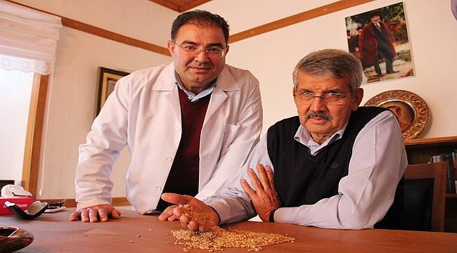 Cumhuriyetin 100'üncü yılına 2 bin yıllık Ahmet Buğday'ı tohumu