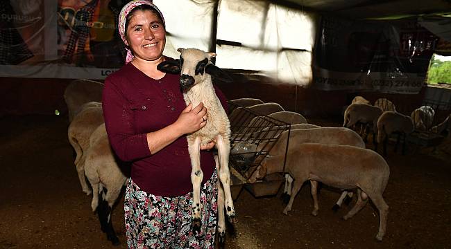 İzmir kırsalında "başka bir tarım" modeli gelişiyor