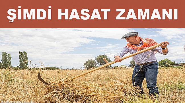 Karakılçık Buğdayı Yeniden İzmir Toprağıyla Buluştu