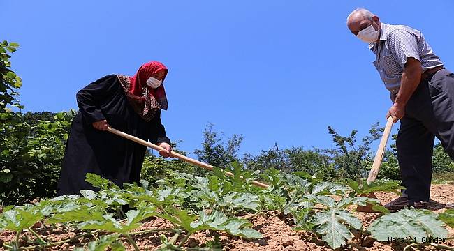 Beykoz Karpuzu Lezzetiyle İstanbul'u Saracak 