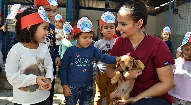 İzmir Büyükşehir Belediyesi'nden bin 500 köpeğe rehabilitasyon merkezi