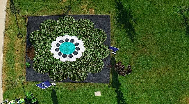 Srebrenica Çiçeği' yeniden hayat buluyor