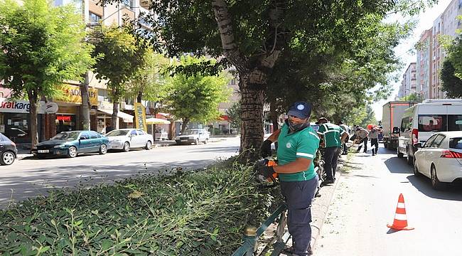 Büyükşehir'den yeşil alan bakım çalışmaları 