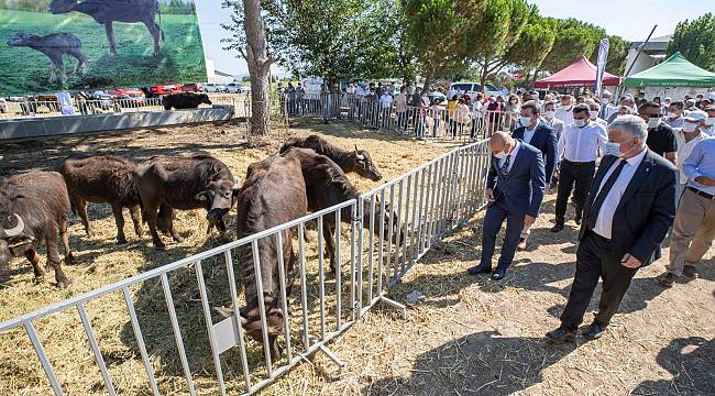 İzmir Büyükşehir Belediye Başkanı Soyer'in köylüye desteği sürüyor