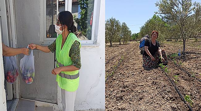 Tarladan vatandaşın sofrasına…