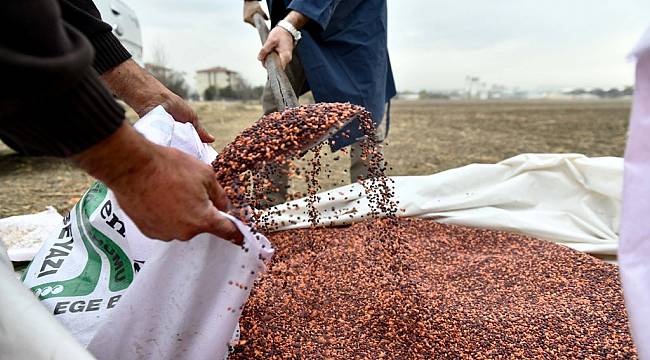 Ankara Büyükşehir Belediyesi çiftçilerin yanında: 25 ilçede tohum desteği