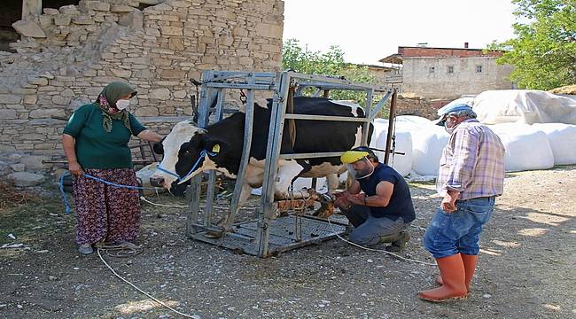 Antalya Büyükşehir Belediyesi besicinin yanında