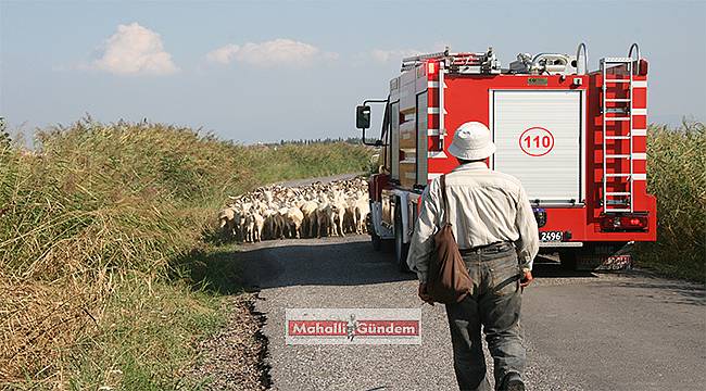 İtfaiyenin yangına ortalama varış süresi: 5 dakika 29 saniye 