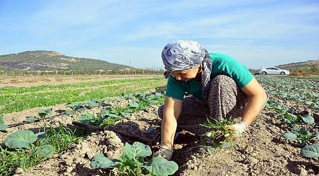 Pandemi, tarımın sürdürülebilirliğini tehdit ediyor! 