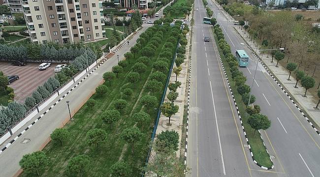 Yol Boyu Peyzaj Güzelliği