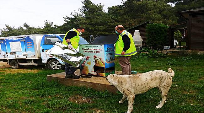 Can dostlara Büyükşehir şefkati 