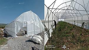 Manisa'da seracılık gelişiyor