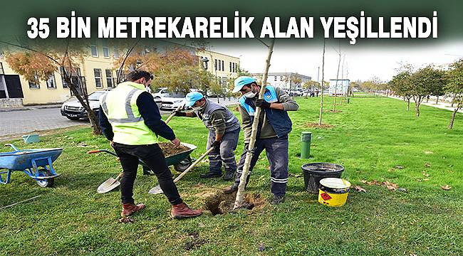 Manisa yeşile boyanıyor 