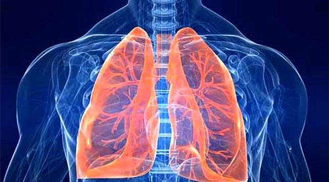Pulmoner Rehabilitasyon Solunum Sıkıntılarında Çözüm Oluyor 