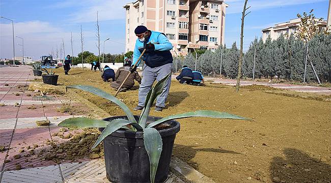 Susuzluğa Dayanıklı Bitkiler Manisa'yı Renklendirecek 