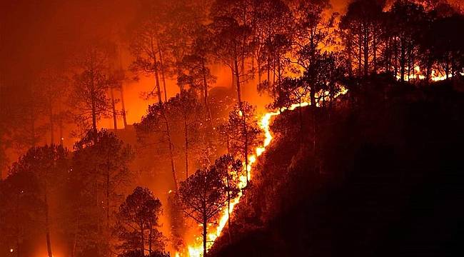 Toprağın nemini ölçen teknoloji ile orman yangınları önlenecek 