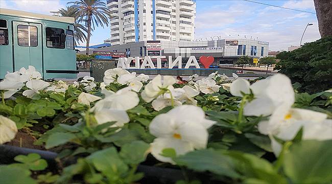 Antalya Büyükşehir'in çiçekleri bahar havası yaşatıyor 