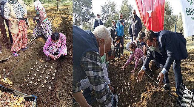 Ege Üniversitesinden "Nergis Çiçeği Üreticisi Eğitimi Projesi" 